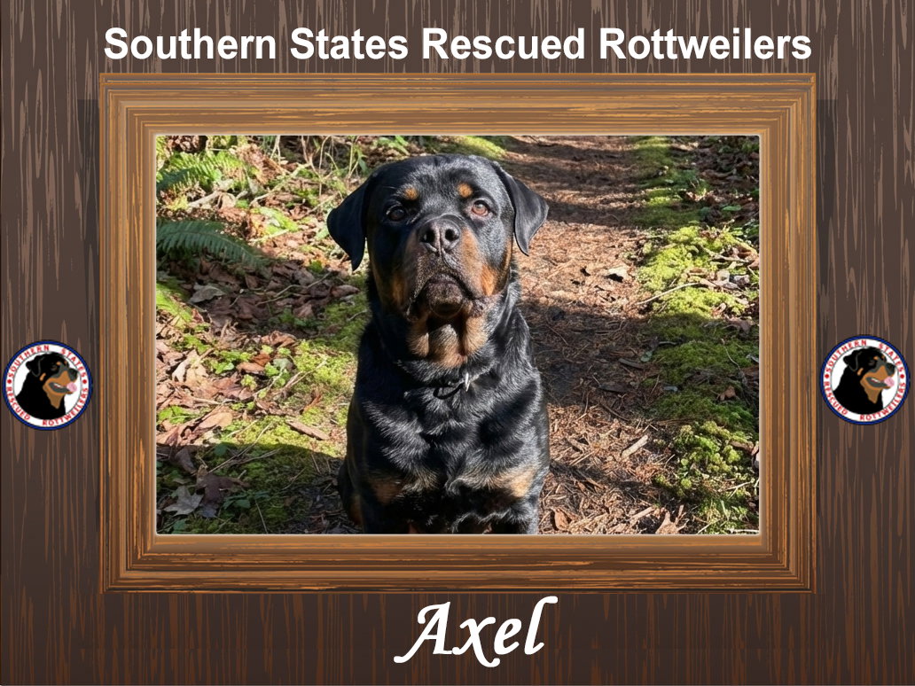 Axel