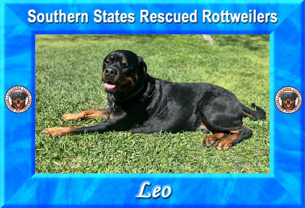 Leo