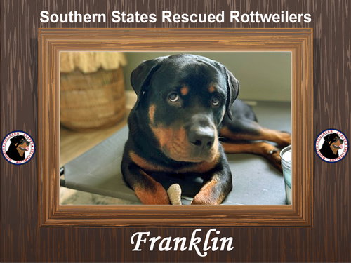 Franklin