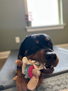 Franklin