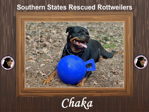 Chaka