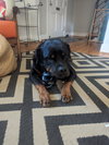 Kaiser