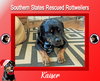 Kaiser