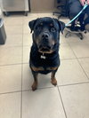 Kaiser