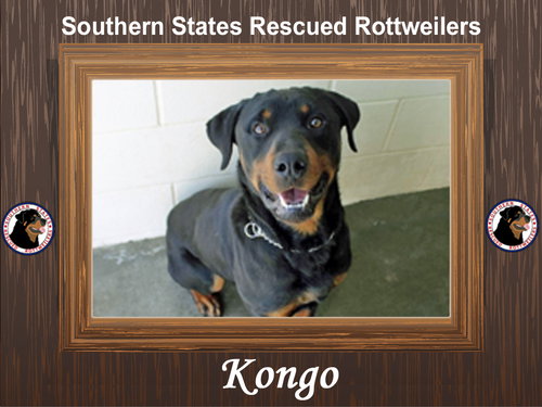 Kongo
