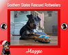 Maggie