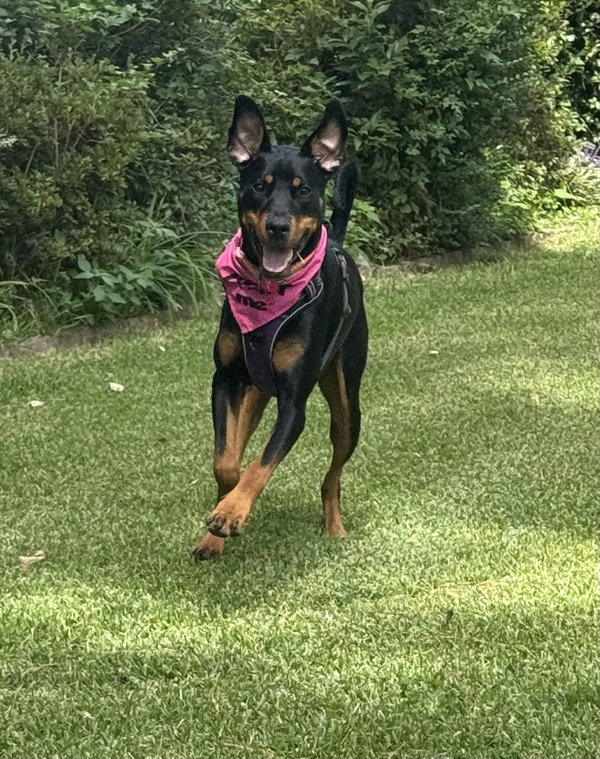 Maggie