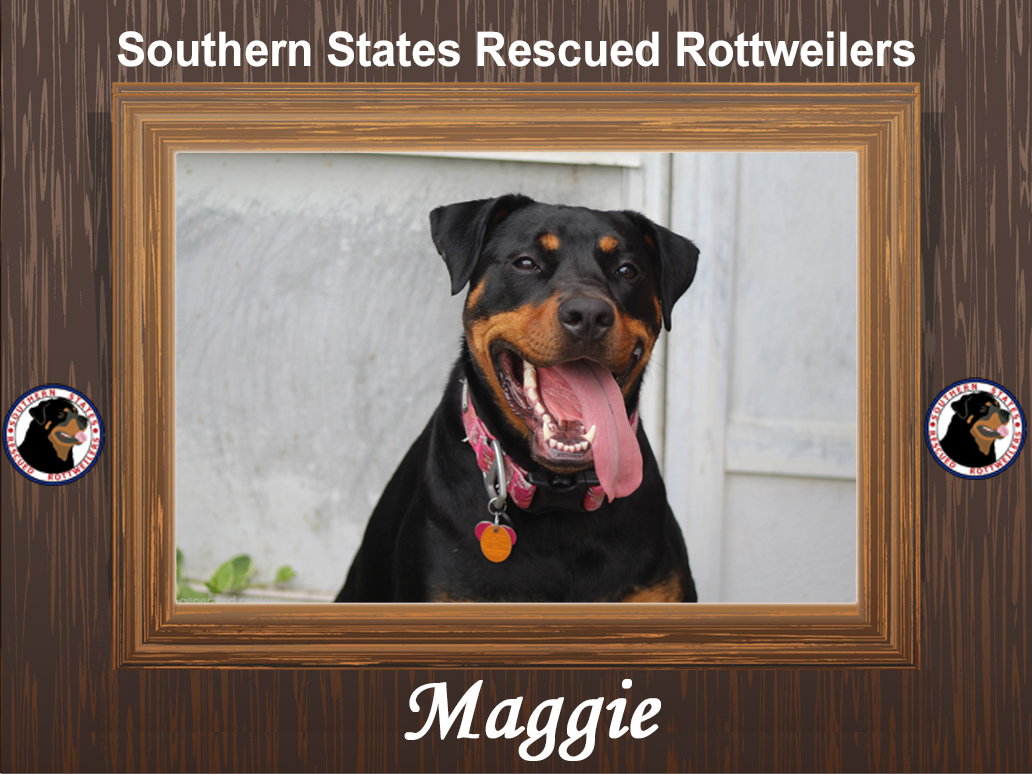 Maggie