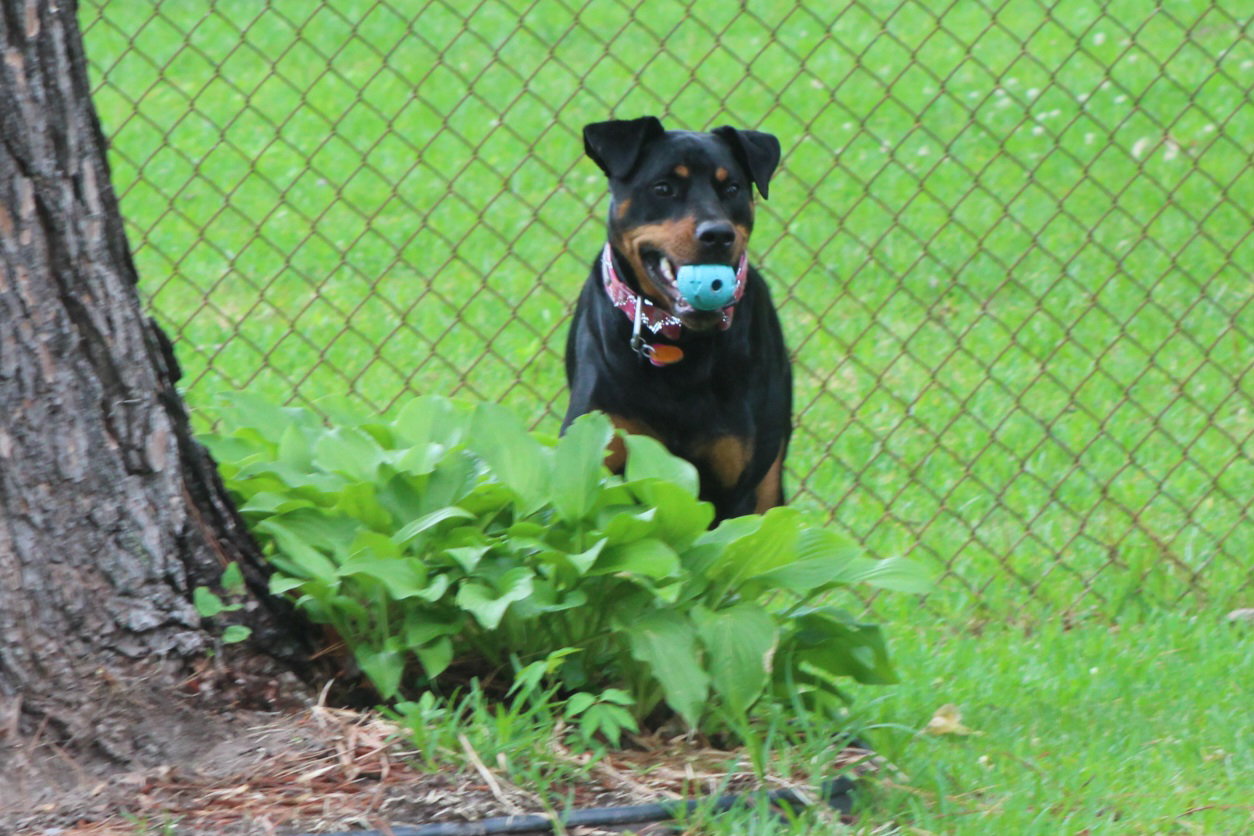 Maggie, photo 8