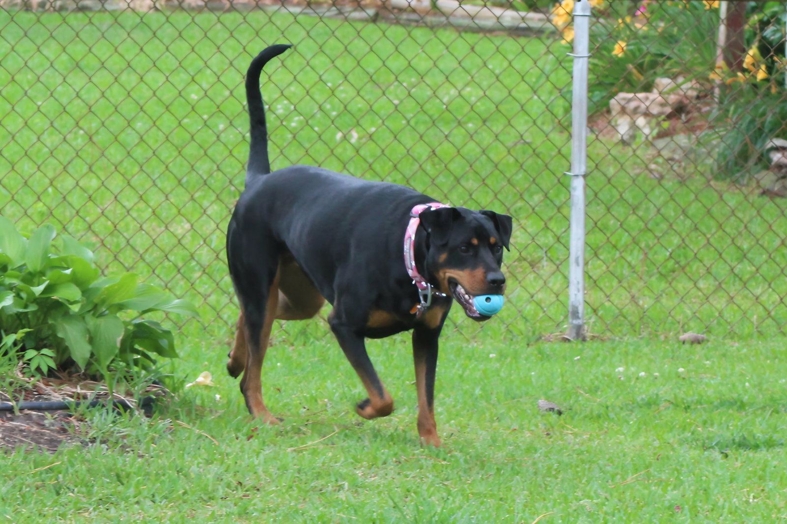 Maggie, photo 9