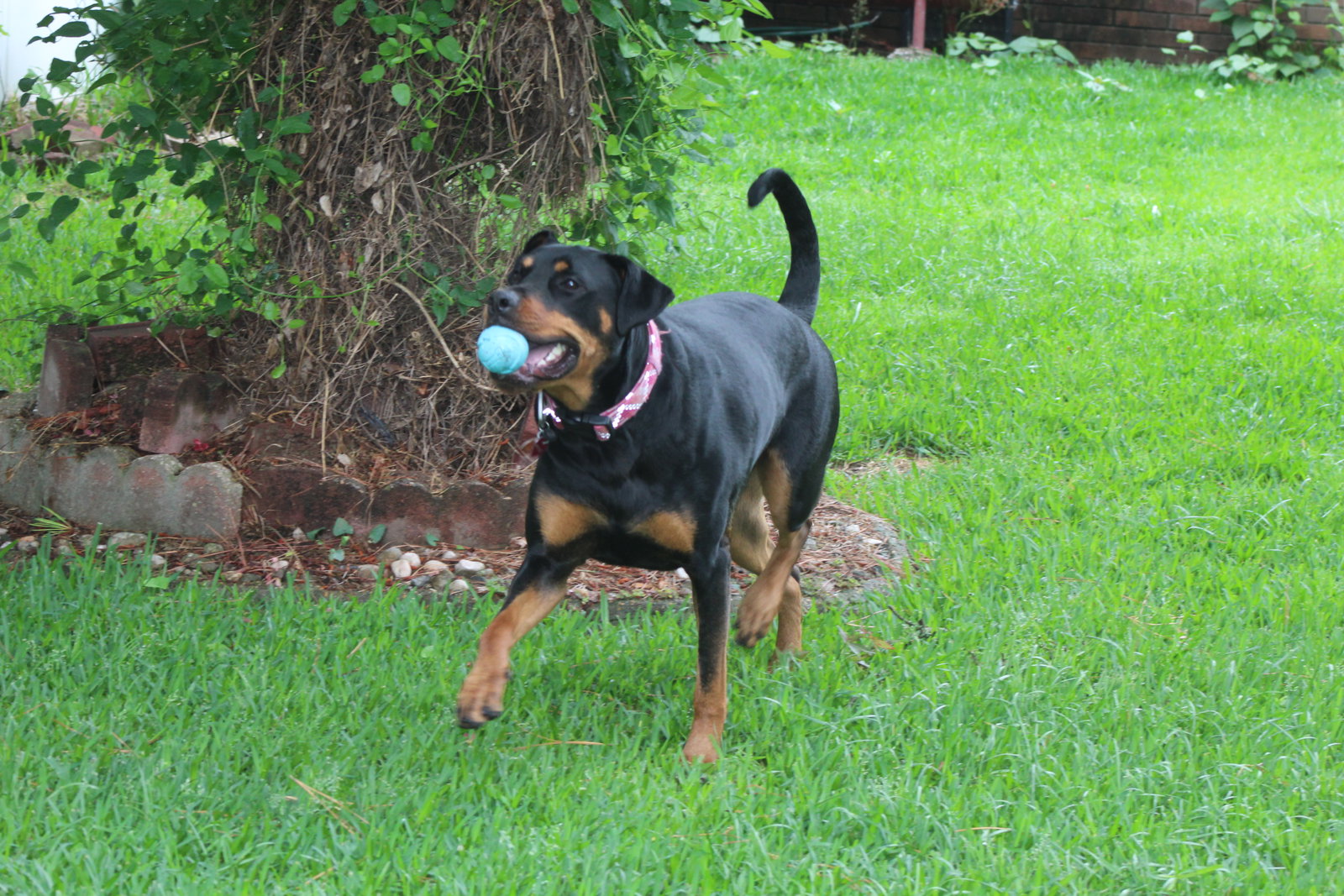 Maggie, photo 10