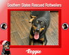 Reggie