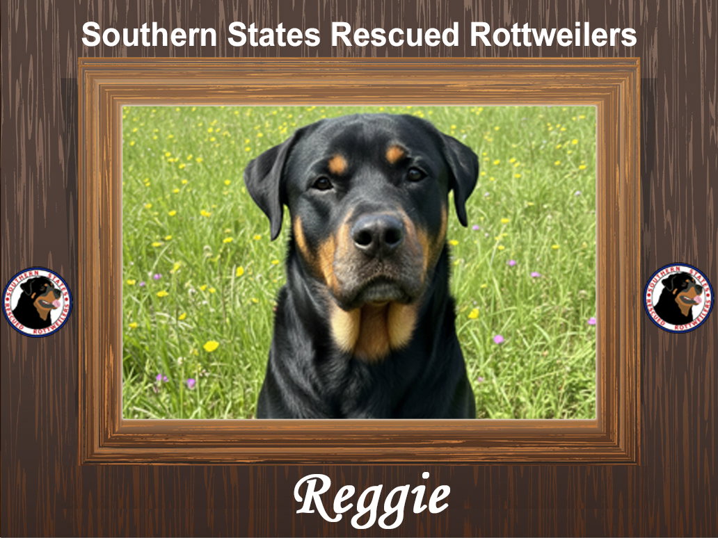 Reggie