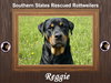 Reggie