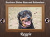 Reggie