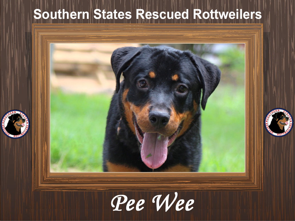 Pee Wee