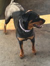 Ruby