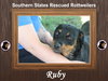 Ruby