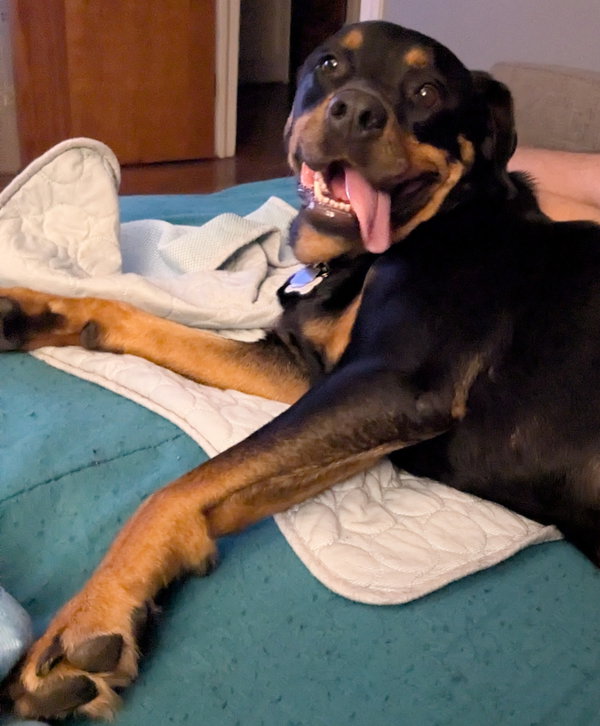 Simone