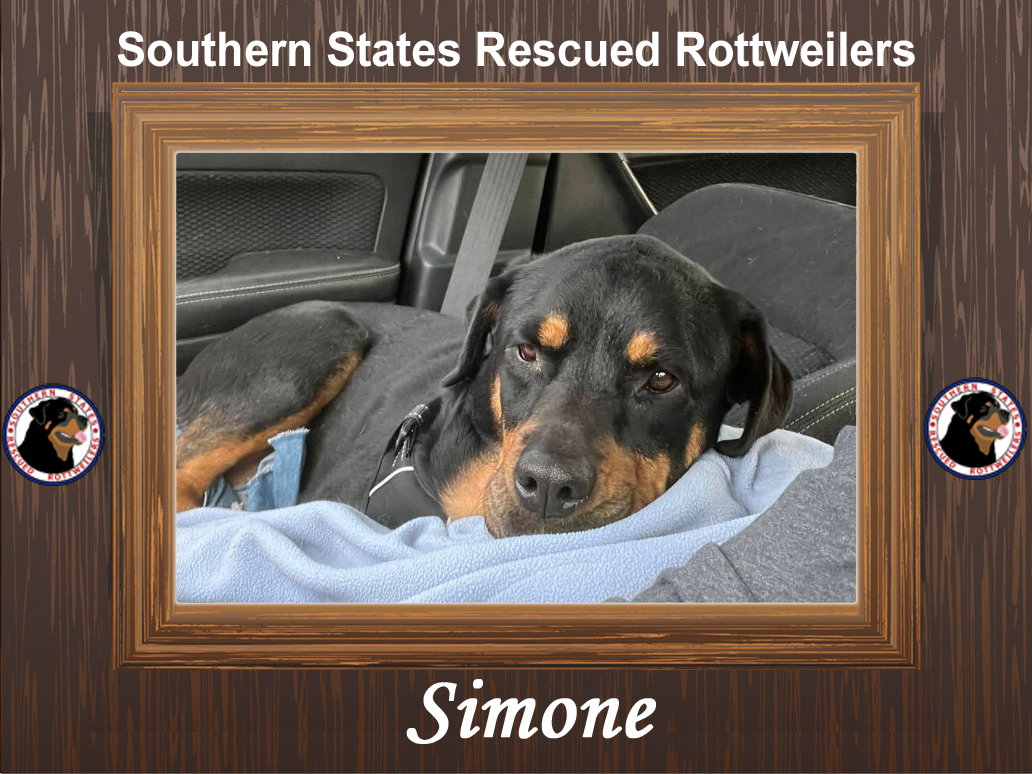 Simone