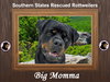 Big Momma