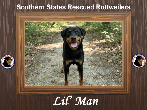 Lil'Man
