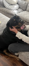 Ben