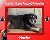 Marlee