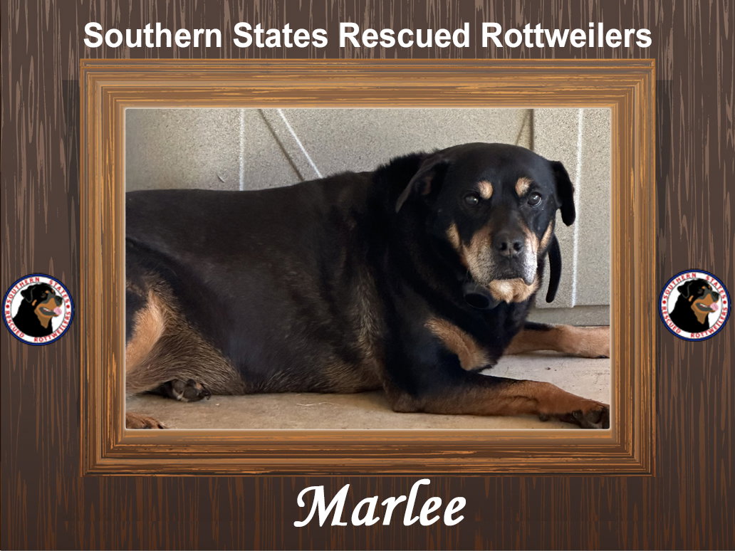 Marlee
