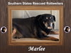 Marlee