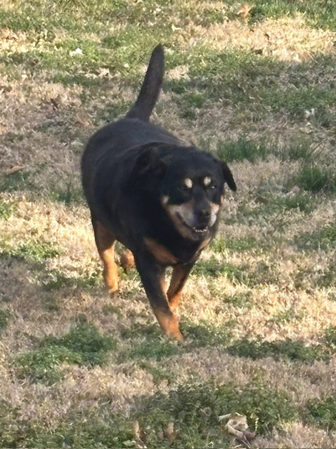 Marlee