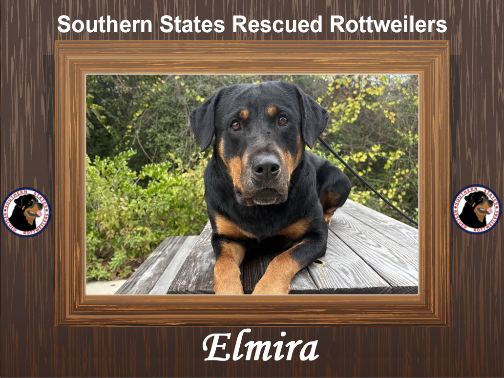 Elmira