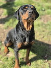 Walter