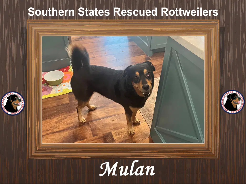 Mulan - Unknown