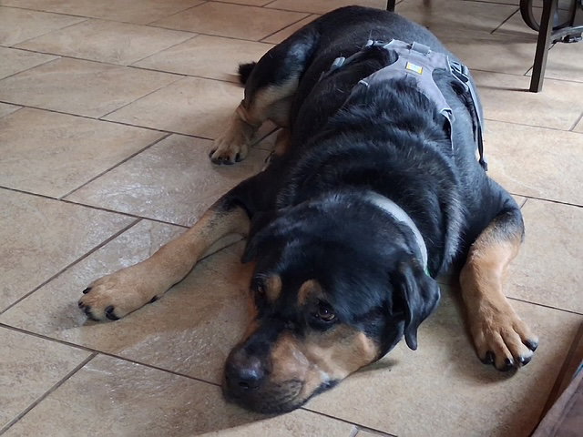 Garth, photo 7