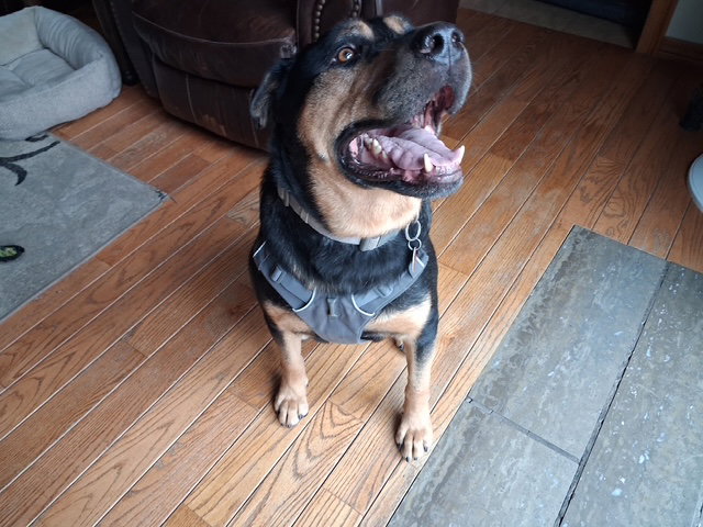 Garth, photo 8
