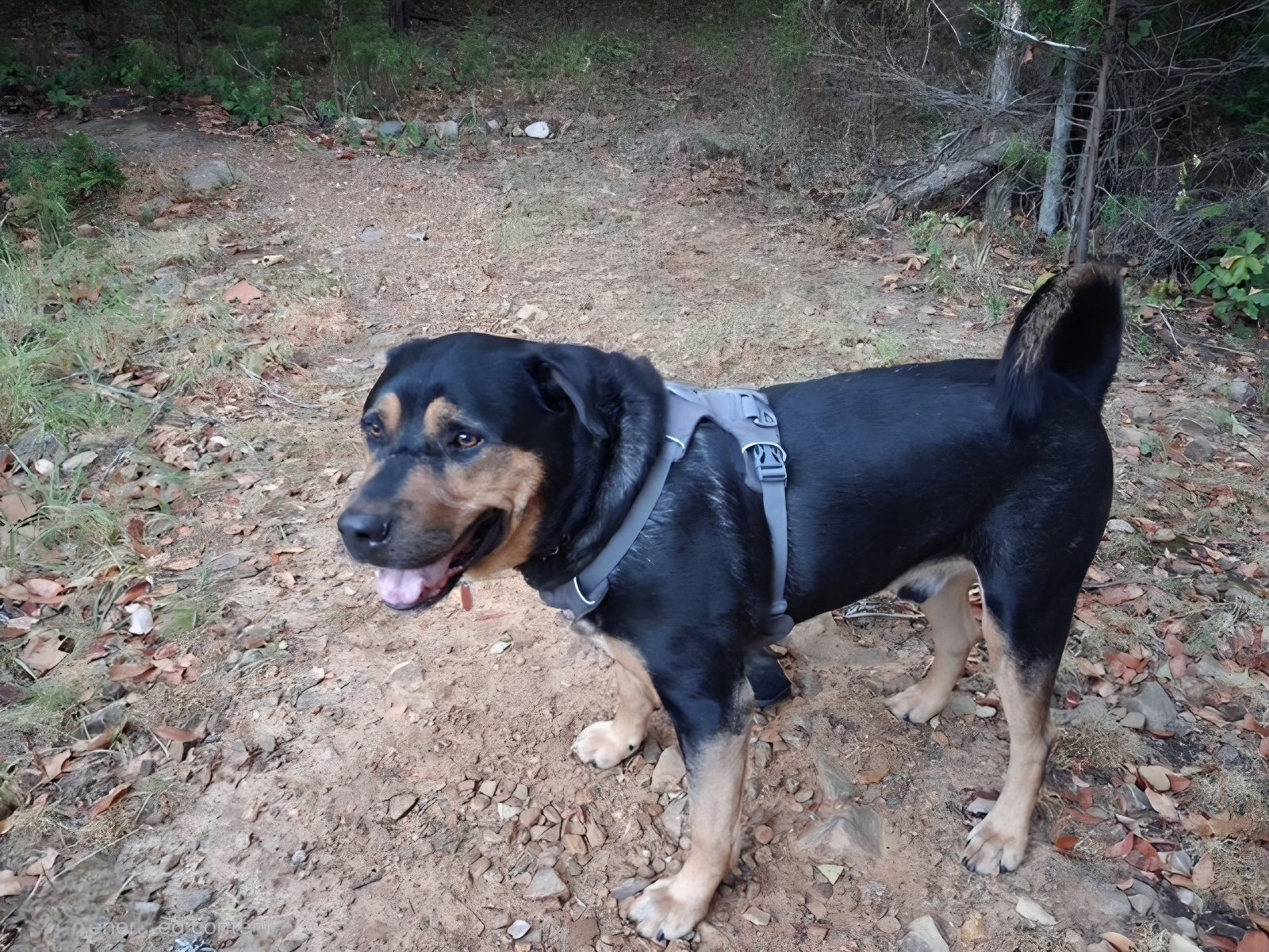 Garth, photo 9