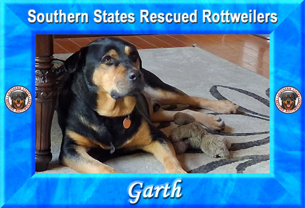 Garth, Rottweiler
