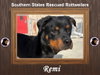 Remi