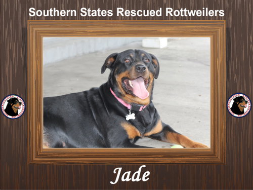 Jade