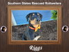Riggs