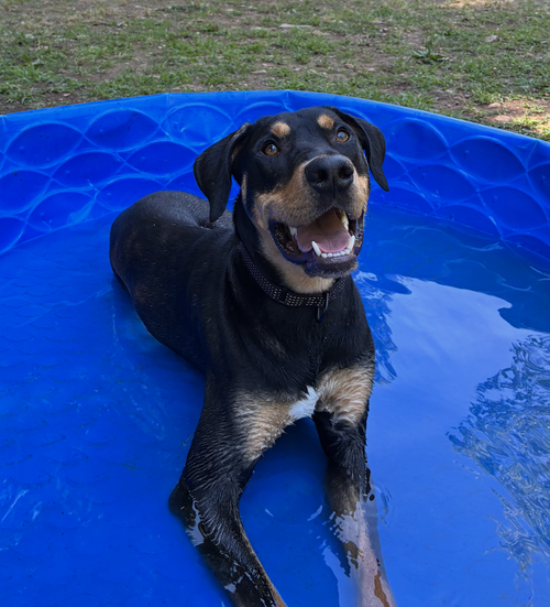 Riggs photo 3