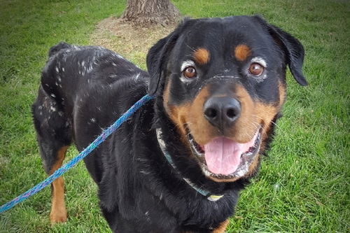 Edgar