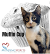 Cupcake Kisses & Muffin Cup ⭐️ - Photo 8