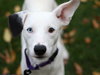 Stella Jane - Photo 4