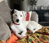 Stella Jane - Photo 6