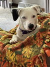 Stella Jane - Photo 7