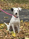 Stella Jane - Photo 8