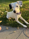 Stella Jane - Photo 9