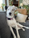 Stella Jane - Photo 10